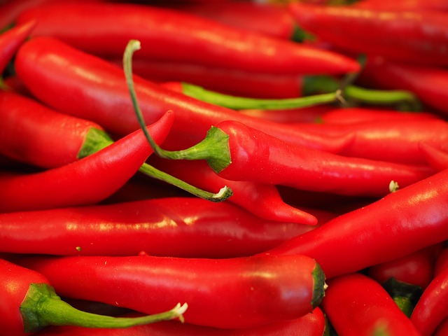 chilli papričky