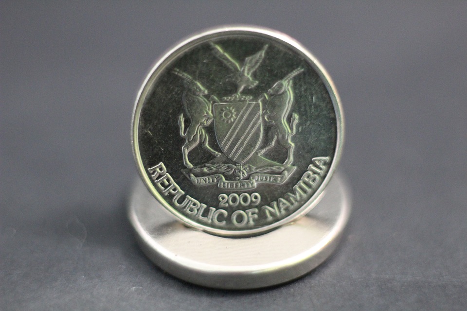 namibijská mince